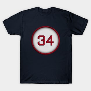 Big Papi 34 (alt version) T-Shirt